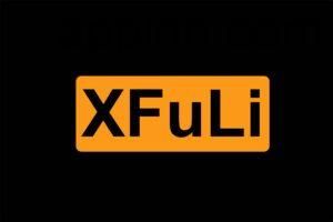 XFuLiJi：推特（X）福利帐号学习网站